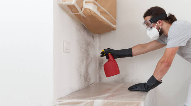 Professional Mold Testing technician working in Burnsville, NC
