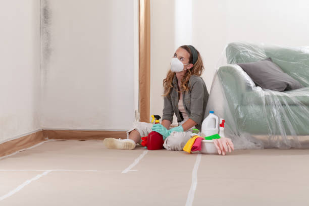 Reliable Mold Testing contractor in Burnsville, NC by WQB Mold Removal